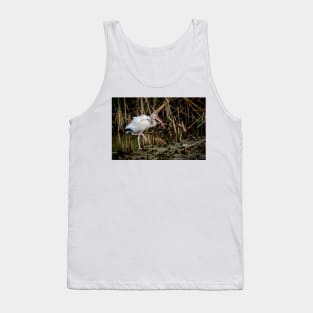 Immature White Ibis On The Move Tank Top